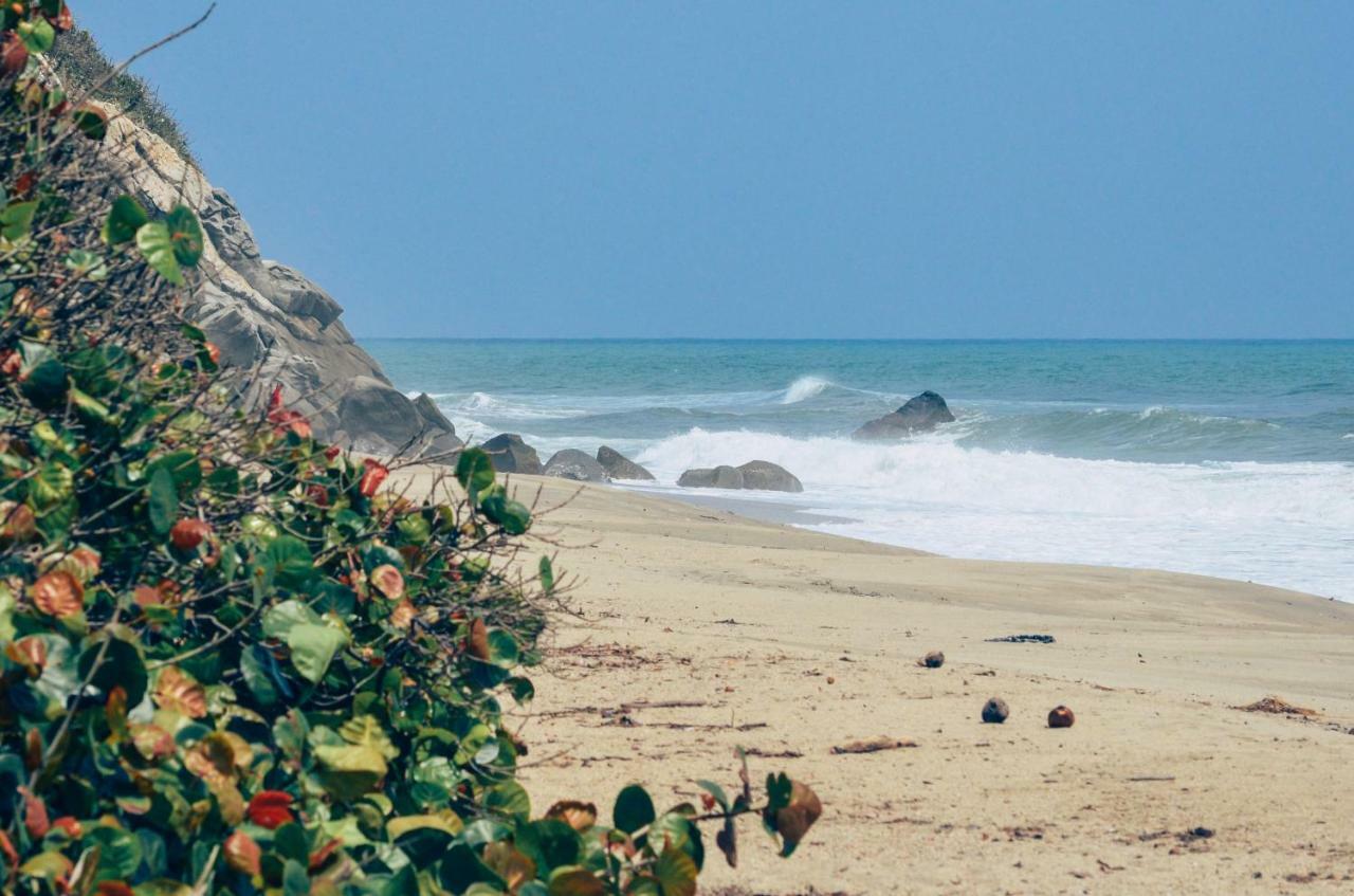 Playa Los Angeles Los Naranjos Luaran gambar