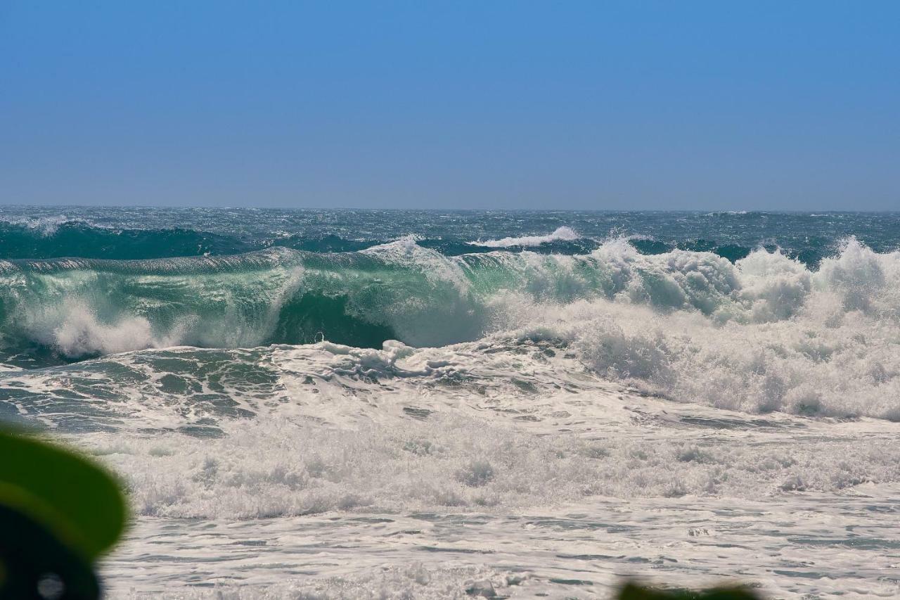 Playa Los Angeles Los Naranjos Luaran gambar